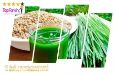 อาหารเสริมต้นอ่อนข้าวสาลี