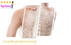 หากคุณกำลังมองหา 10 อันดับ อาหารเสริมแคลเซียมบำรุงกระดูก แต่ไม่รู้จะเลือกยี่ห้อไหนดี ?  แนะนำเลย 10 อาหารเสริมแคลเซียมบำรุงกระดูกตอบโจทย์ทุกเพศทุกวัยในปีนี้ 2026